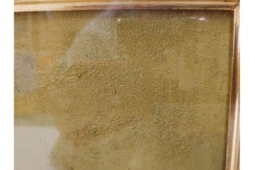 真作　小口卓也作　油彩　F0号　「かき」　鮮やかな朱色が印象的な絵画　(R-087202)