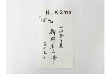 真作　1963年　狩野寿一　油彩　F8号　「ばら」　赤と白の色彩対比が印象的な絵画　(R-087205)