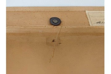 真作　イワン・フィリッポヴィチ・チトフ作　月光荘取り扱い　現代ソビエト絵画　油彩　P5号　「パンジー」　外箱付き　(R-087206)