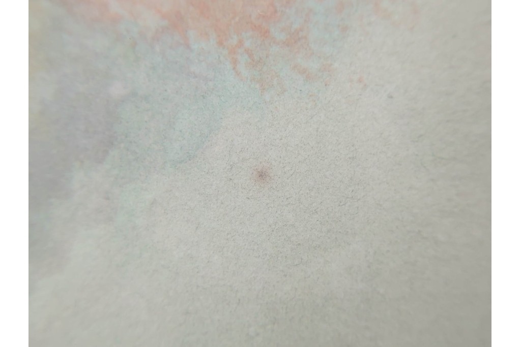 真作　中村宗弘作　日本画　「秋湖」　湖面に映る紅葉が美しい絵画　外箱付き　(R-087209)