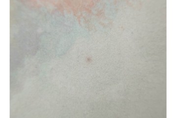 真作　中村宗弘作　日本画　「秋湖」　湖面に映る紅葉が美しい絵画　外箱付き　(R-087209)