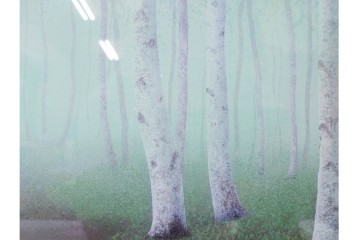 真作　佐々木裕而作　日本画　F6号　「翠靄」　幻想的な白樺林が描かれた絵画　外箱付き　(R-087210)