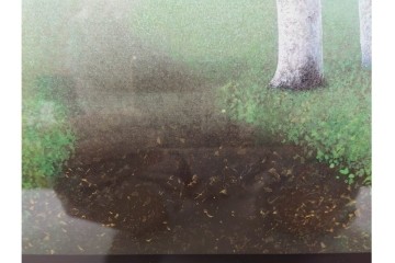 真作　佐々木裕而作　日本画　F6号　「翠靄」　幻想的な白樺林が描かれた絵画　外箱付き　(R-087210)