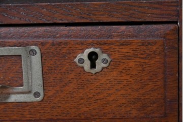 和製アンティーク　ナラ材　木目豊かなシャッター付き小引き出し　(R-087231)