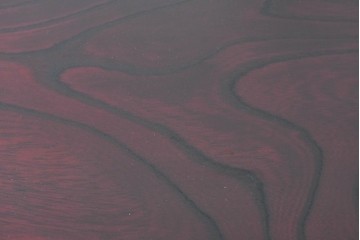 中古　美品　欅産業　仙台民藝箪笥(仙台箪笥)　漆塗り　牡丹文様があしらわれた重厚な金具が美しい衣装箪笥　定価約50万円　(R-087232)