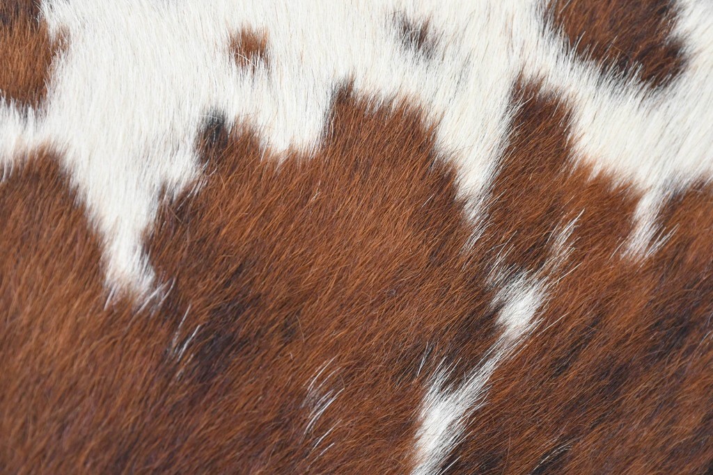 中古　リプロダクト品　Le Corbusier(ル・コルビュジエ)デザイン　LC4　本革　洗練されたフォルムのシェーズロング　(R-087260)