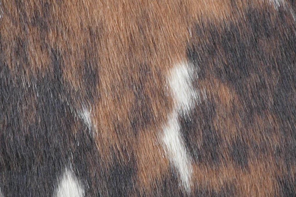 中古　Cassina(カッシーナ)　ル・コルビュジエ(Le Corbusier)　ピエール・ジャンヌレ(Pierre Jeanneret)　シャルロット・ペリアン(Charlotte Perriand)　LC1　スリングチェア　現行定価約78万円　(R-087261)