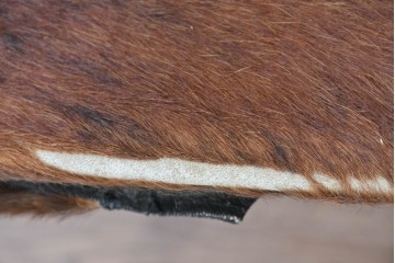 中古　Cassina(カッシーナ)　ル・コルビュジエ(Le Corbusier)　ピエール・ジャンヌレ(Pierre Jeanneret)　シャルロット・ペリアン(Charlotte Perriand)　LC1　スリングチェア　現行定価約78万円　(R-087261)