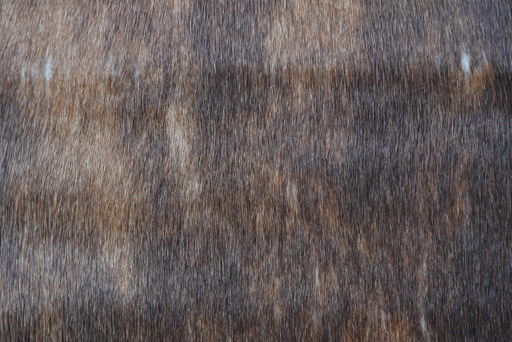 中古　Cassina(カッシーナ)　ル・コルビュジエ(Le Corbusier)　ピエール・ジャンヌレ(Pierre Jeanneret)　シャルロット・ペリアン(Charlotte Perriand)　LC1　スリングチェア　現行定価約78万円　(R-087262)