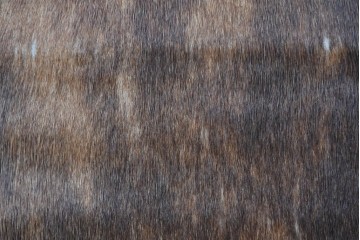 中古　Cassina(カッシーナ)　ル・コルビュジエ(Le Corbusier)　ピエール・ジャンヌレ(Pierre Jeanneret)　シャルロット・ペリアン(Charlotte Perriand)　LC1　スリングチェア　現行定価約78万円　(R-087262)