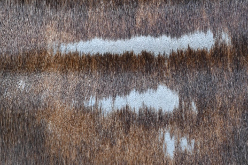 中古　Cassina(カッシーナ)　ル・コルビュジエ(Le Corbusier)　ピエール・ジャンヌレ(Pierre Jeanneret)　シャルロット・ペリアン(Charlotte Perriand)　LC1　スリングチェア　現行定価約78万円　(R-087262)