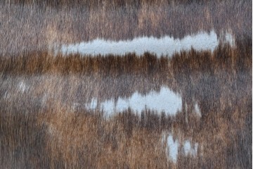 中古　Cassina(カッシーナ)　ル・コルビュジエ(Le Corbusier)　ピエール・ジャンヌレ(Pierre Jeanneret)　シャルロット・ペリアン(Charlotte Perriand)　LC1　スリングチェア　現行定価約78万円　(R-087262)