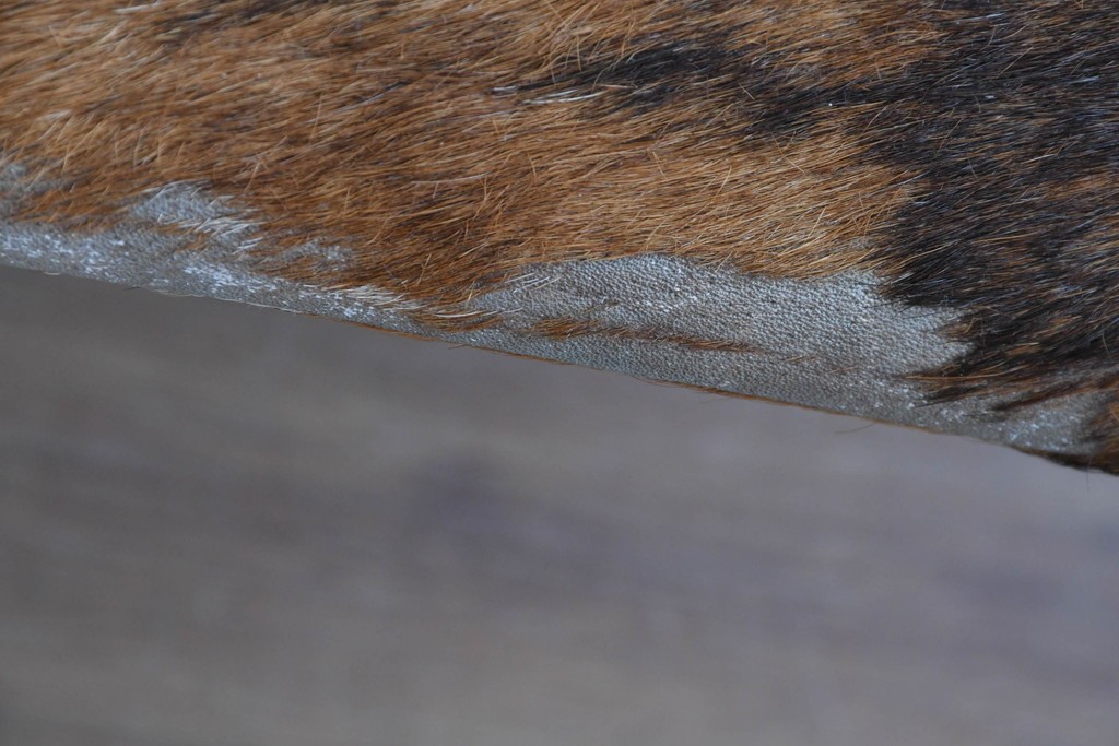 中古　Cassina(カッシーナ)　ル・コルビュジエ(Le Corbusier)　ピエール・ジャンヌレ(Pierre Jeanneret)　シャルロット・ペリアン(Charlotte Perriand)　LC1　スリングチェア　現行定価約78万円　(R-087262)