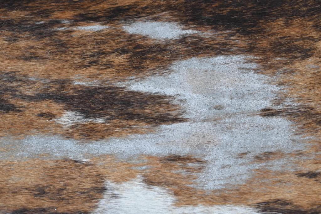 中古　Cassina(カッシーナ)　ル・コルビュジエ(Le Corbusier)　ピエール・ジャンヌレ(Pierre Jeanneret)　シャルロット・ペリアン(Charlotte Perriand)　LC1　スリングチェア　現行定価約78万円　(R-087262)