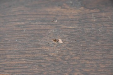 和製アンティーク　引き出しのパーケットリーがお洒落な色ガラス入り本箱　(R-087268)