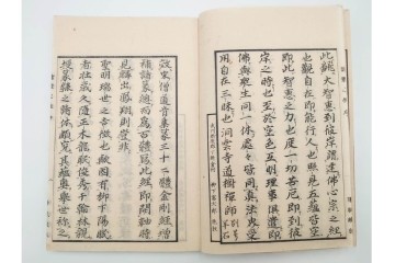 江戸期から明治期　龍鱗堂版　陽眼柳下悳編　「諸體心経(諸体心経)」　和本　(R-087276)