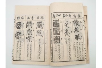 江戸期から明治期　龍鱗堂版　陽眼柳下悳編　「諸體心経(諸体心経)」　和本　(R-087276)