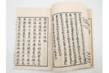 江戸期から明治期　龍鱗堂版　陽眼柳下悳編　「諸體心経(諸体心経)」　和本　(R-087276)