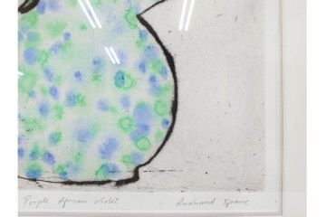 真作　サイン&メッセージ入り　リチャード・スペア(Richard Spare)　73/150　ドライポイント(銅版画)・水彩画　「Purple African Violet(パープル・アフリカン・バイオレット)」　(R-087299)