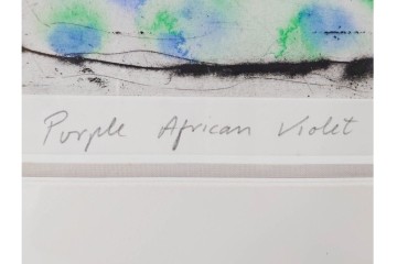 真作　サイン&メッセージ入り　リチャード・スペア(Richard Spare)　73/150　ドライポイント(銅版画)・水彩画　「Purple African Violet(パープル・アフリカン・バイオレット)」　(R-087299)
