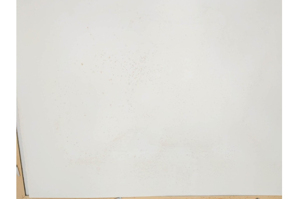 真作　サイン&メッセージ入り　リチャード・スペア(Richard Spare)　73/150　ドライポイント(銅版画)・水彩画　「Purple African Violet(パープル・アフリカン・バイオレット)」　(R-087299)