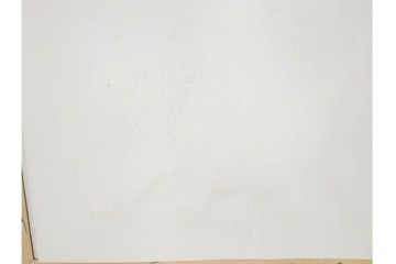 真作　サイン&メッセージ入り　リチャード・スペア(Richard Spare)　73/150　ドライポイント(銅版画)・水彩画　「Purple African Violet(パープル・アフリカン・バイオレット)」　(R-087299)