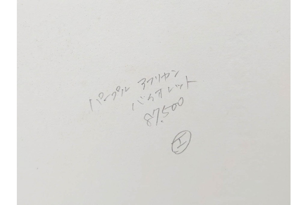 真作　サイン&メッセージ入り　リチャード・スペア(Richard Spare)　73/150　ドライポイント(銅版画)・水彩画　「Purple African Violet(パープル・アフリカン・バイオレット)」　(R-087299)