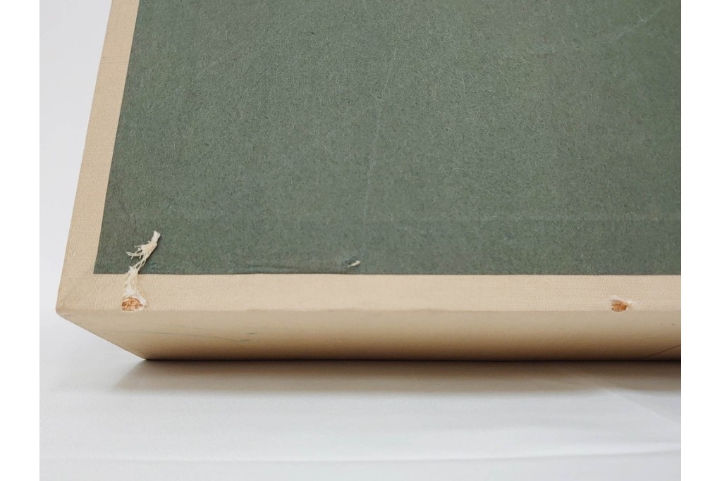 真作　田中実　水彩画　F6号　「印度の服」　異国情緒漂う女性を描いた絵画　外箱付き　(R-087303)