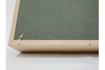 真作　田中実　水彩画　F6号　「印度の服」　異国情緒漂う女性を描いた絵画　外箱付き　(R-087303)