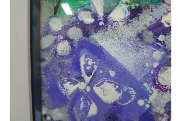 真作　西村計雄　油彩　F3号　「あじさい」　鮮やかな紫陽花を描いた絵画　外箱付き　(R-087316)