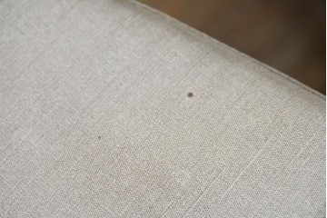 中古　カリモク家具(karimoku)　CT73シリーズ　曲木のアームが美しいアームチェア2脚セット　定価(2脚合計)約18万円　(R-087340)