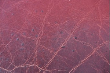 中古　スペイン　VARO,S.A. VALENTI(バロッサバレンティ)　本革　クラシカルなデザインの二人掛けソファ　(R-087369)