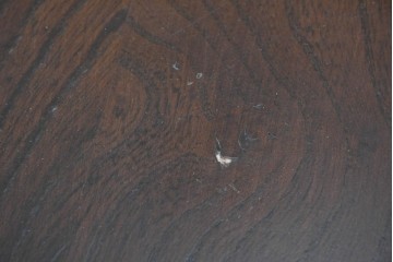 中古　美品　ERCOL(アーコール)　希少なスクエアモデルのドロップリーフテーブル　(R-087370)