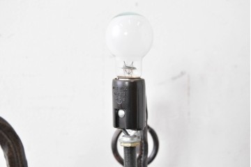 中古　エミール・ガレ風(Emile Galle)　ぶどう柄のフロアスタンド　(R-087373)