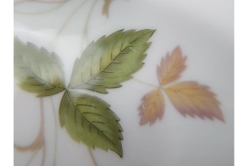 イギリス　WEDGWOOD(ウェッジウッド)　直径約18cm　ワイルドストロベリーシリーズのプレート6枚セット　(R-087384)