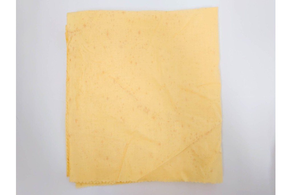 深川製磁　陶彩作　染錦　上品な菖蒲金ミルの飾鉢　共箱付き　(R-087389)