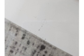 真作　パブロ・ピカソ　「ドラ・マールの肖像」　人物画のリトグラフポスター　外箱付き　(R-087393)