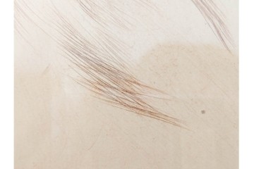 真作　アンリ・ド・トゥールーズ=ロートレック　ドライポイント(銅版画)　「シャルル・モーラン」　外箱付き　(R-087394)