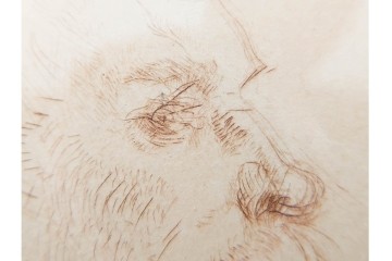 真作　アンリ・ド・トゥールーズ=ロートレック　ドライポイント(銅版画)　「シャルル・モーラン」　外箱付き　(R-087394)