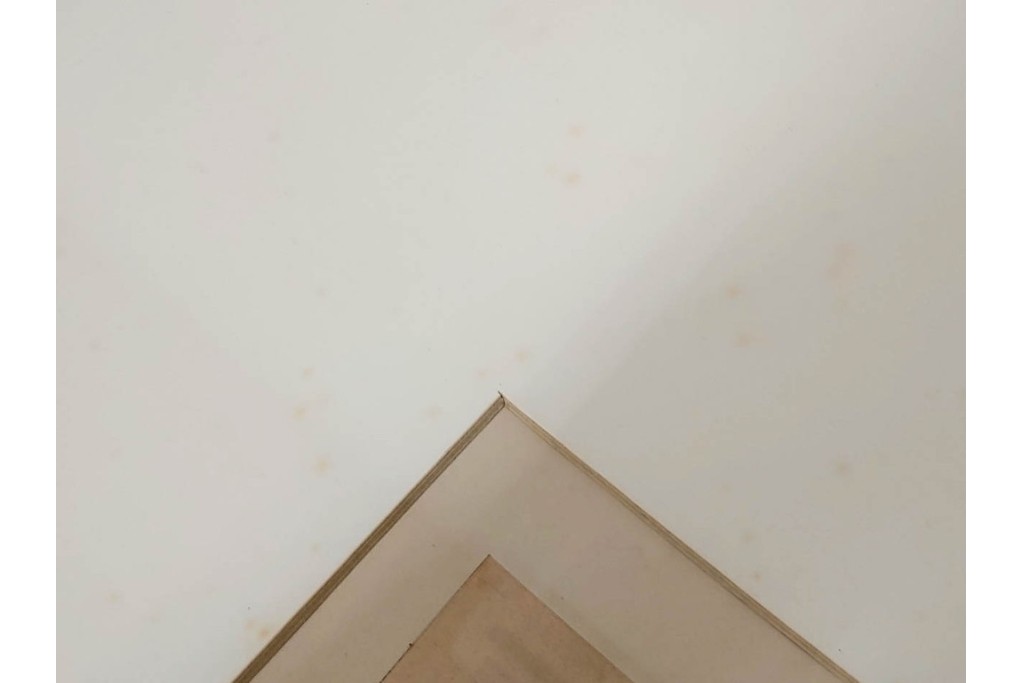 真作　アンリ・ド・トゥールーズ=ロートレック　ドライポイント(銅版画)　「シャルル・モーラン」　外箱付き　(R-087394)