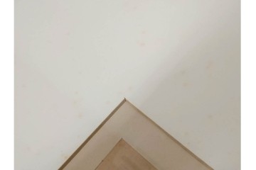 真作　アンリ・ド・トゥールーズ=ロートレック　ドライポイント(銅版画)　「シャルル・モーラン」　外箱付き　(R-087394)