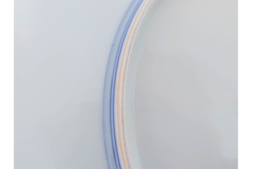 十三代 今泉今右衛門　有田焼　約29cm(9.5寸)　襲名十周年記念オリジナル作品　「色鍋島玉堂富貴画額皿」　共箱・認定書・皿立て付き　(R-087412)