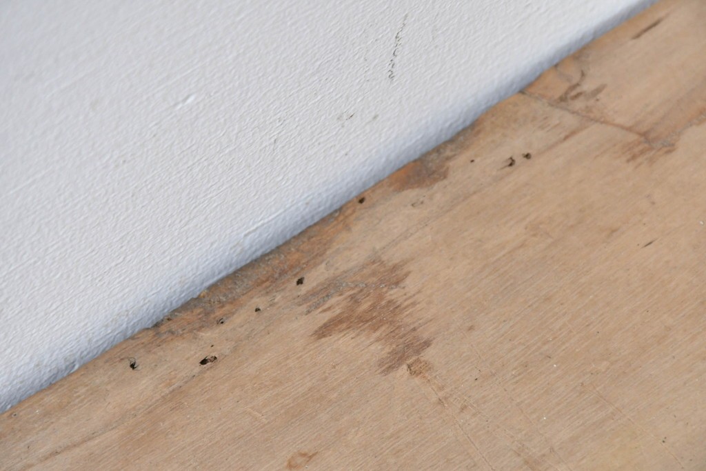 和製アンティーク　総桐材　時代を感じる木地の味わいが魅力の小箪笥　(R-087435)