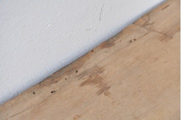 和製アンティーク　総桐材　時代を感じる木地の味わいが魅力の小箪笥　(R-087435)