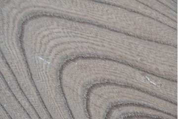 和製アンティーク　ダイナミックな木目が味わい深い欅(ケヤキ)材一枚板の裁ち板　(R-087438)