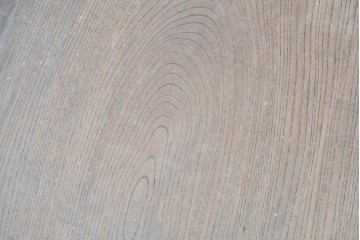 和製アンティーク　ダイナミックな木目が味わい深い欅(ケヤキ)材一枚板の裁ち板　(R-087439)