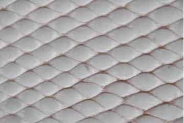 中古　美品　在銘　彫漆風レリーフ(孔雀と牡丹、松に鷹の図)が美しい衝立て　定価推定50万円　(R-087446)