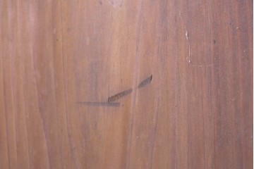 アンティーク建具　大正から昭和初期　落ち着いた木色とすりガラスが古民家風の空間に馴染む板戸4枚セット　(R-087451)