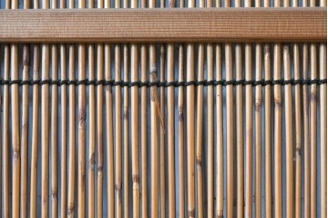 ヴィンテージ建具　昭和中期　透かし彫刻が目を引く夏戸3枚セット　(R-087453)