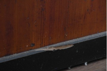 アンティーク建具　明治から大正期　すすけた風合いが魅力の格子帯戸4枚セット　(R-087457)